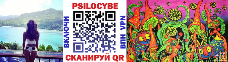 Псилоцибиновые грибы Psilocybe Купить где Юрьевец